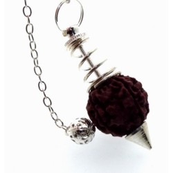 Silver Tone Rudraksha Lord Shiva Sacred Seed of Tibet Pendulum